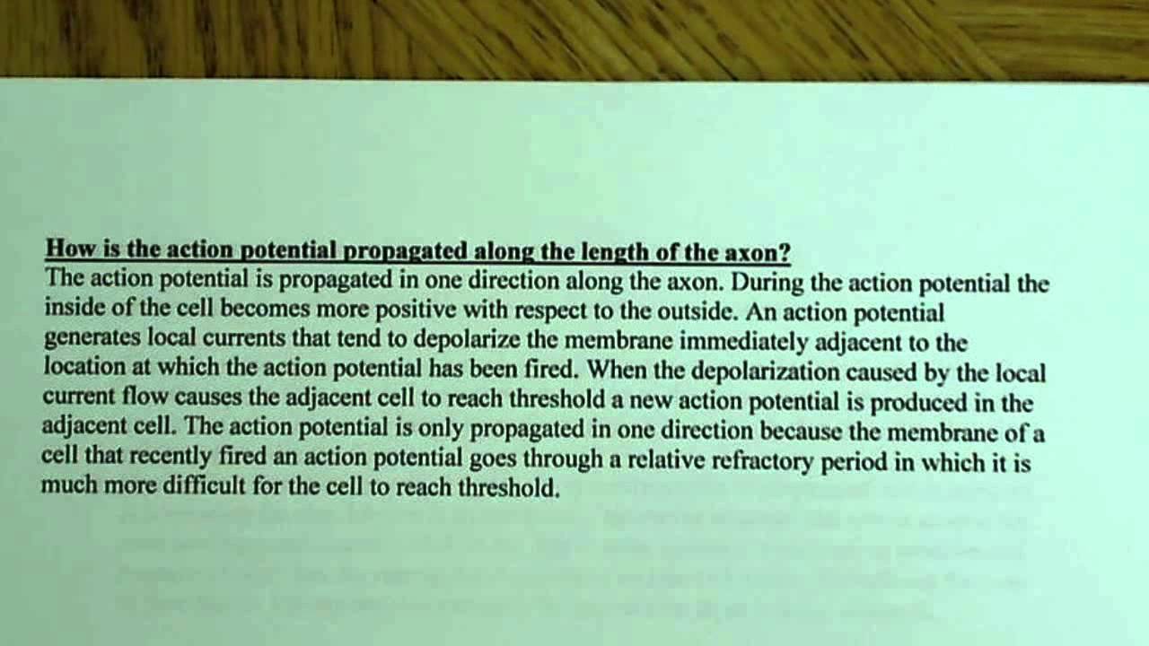 Propagation of the action potential - YouTube