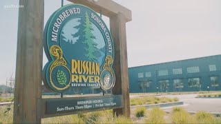 Pliny the Younger is back, this time in bottles