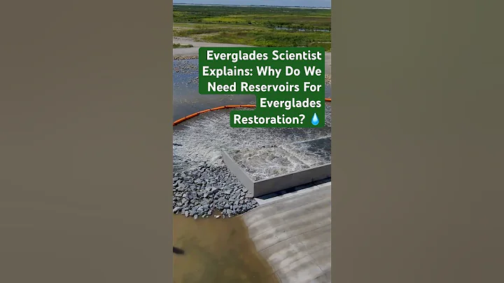 Why Do We Need Reservoirs For Everglades Restoration? 🤔 An Everglades Scientist Explains 🌱💧