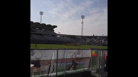Arengazo de Colo Colo por Mauricio Bahamonde
