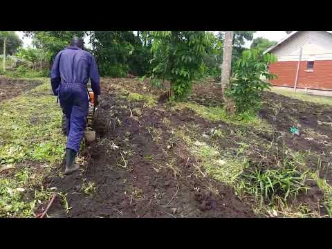Home Made Walking Tractor 