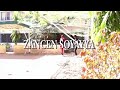 Sabuwar Waka ZANCEN SOYAYYA Video Song 2021 SUBSCRIBE TO Prince M Kamal Tv 
