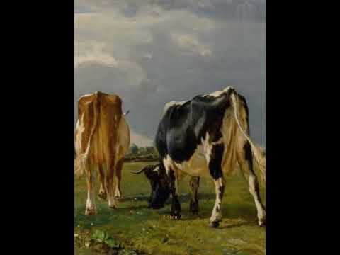 جورج زامفيرا موسيقا الراعي الوحيد