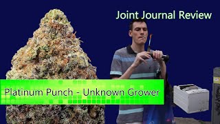 Kushector Joint Journal Review - Platinum Punch by: Unknown Grower