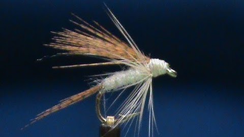 Beginner Fly Tying a Light Cahill Wet with Jim Misiura