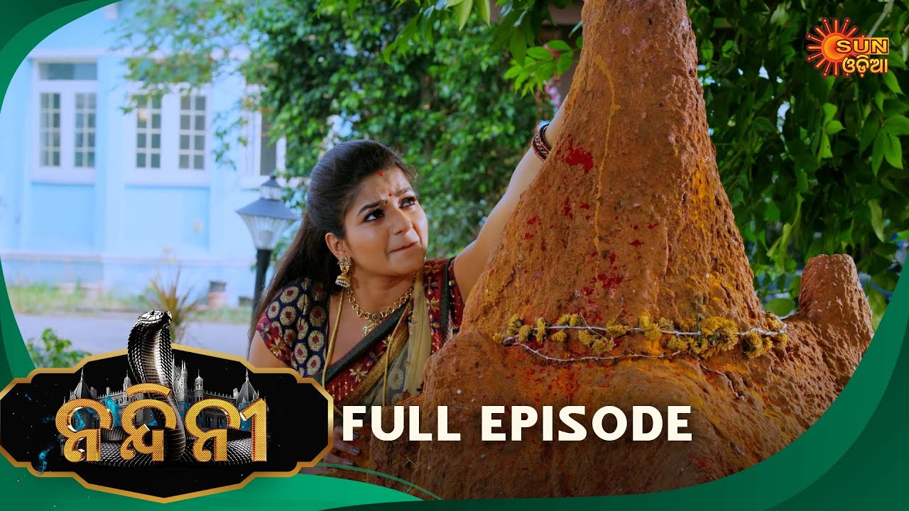 Nandini - Episode 240 | Full Episode | Odia Naagin show | Sun Odia