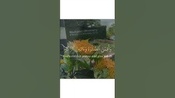 سورة الأحزاب | وَقَرْنَ فِى بُيُوتِكُنَّ وَلَا تَبَرَّجْنَ تَبَرُّجَ ٱلْجَـٰهِلِيَّةِ ٱلْأُولَىٰ ۖ و