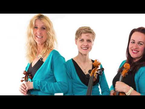 Arco String Quartet - Can't Help Falling in Love