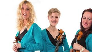 Arco String Quartet - Can't Help Falling in Love