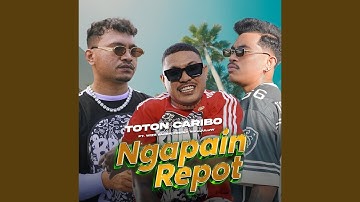 Ngapain Repot