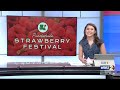 Ponchatoula Strawberry Fest brings economic boost for city, local vendors