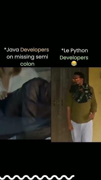 Java Developer VS Python Developer #viralshorts #spydevcode #shorts ...