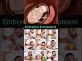 embryonic development in human stages 🥰🥲 #pregnant #mothershealth #developingleaders #viral #shorts