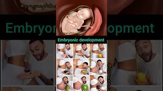 embryonic development in human stages 🥰🥲 #pregnant #mothershealth #developingleaders #viral #shorts