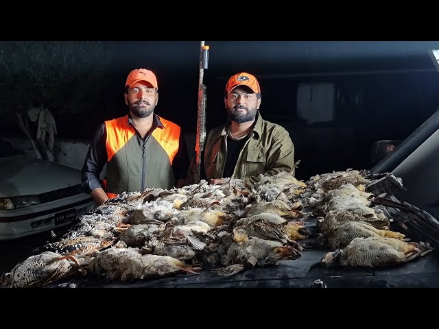 Patridge Hunting ( Teetar ) in Pakistan With Shotkam Season 2023-2024 By Malik Sarfraz Khokhar class=