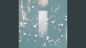 Finding Your Silver Lining