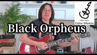 Video thumbnail of "Guitar Wisdom Black Orpheus Improvisation"