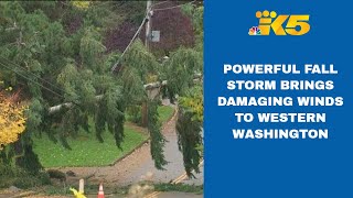 Powerful fall storm slams western Washington with rain, high winds