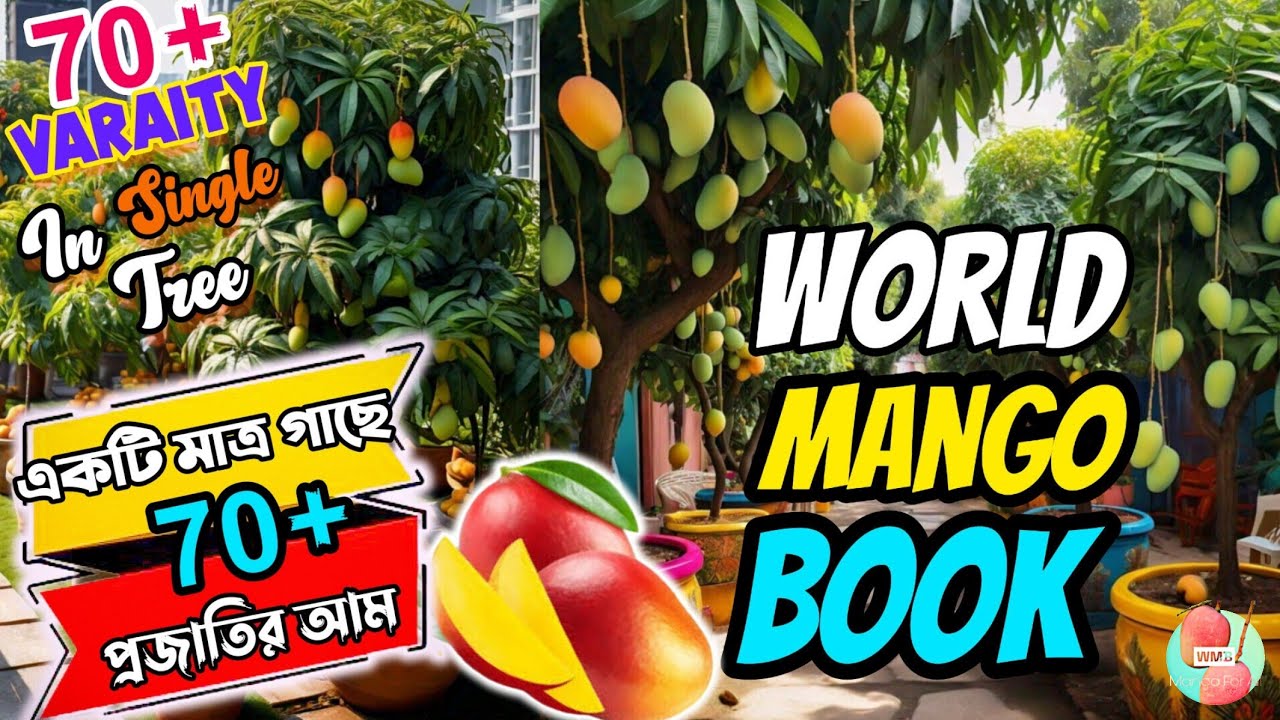 70+ Mango Variety in A Single Plant || Multi Grafted Mango Tree || 1st Time On Internet