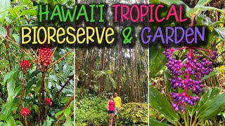 HAWAII TROPICAL BIORESERVE & GARDEN // HAWAII TROPICAL BOTANICAL GARDEN // BIG ISLAND // HAWAII