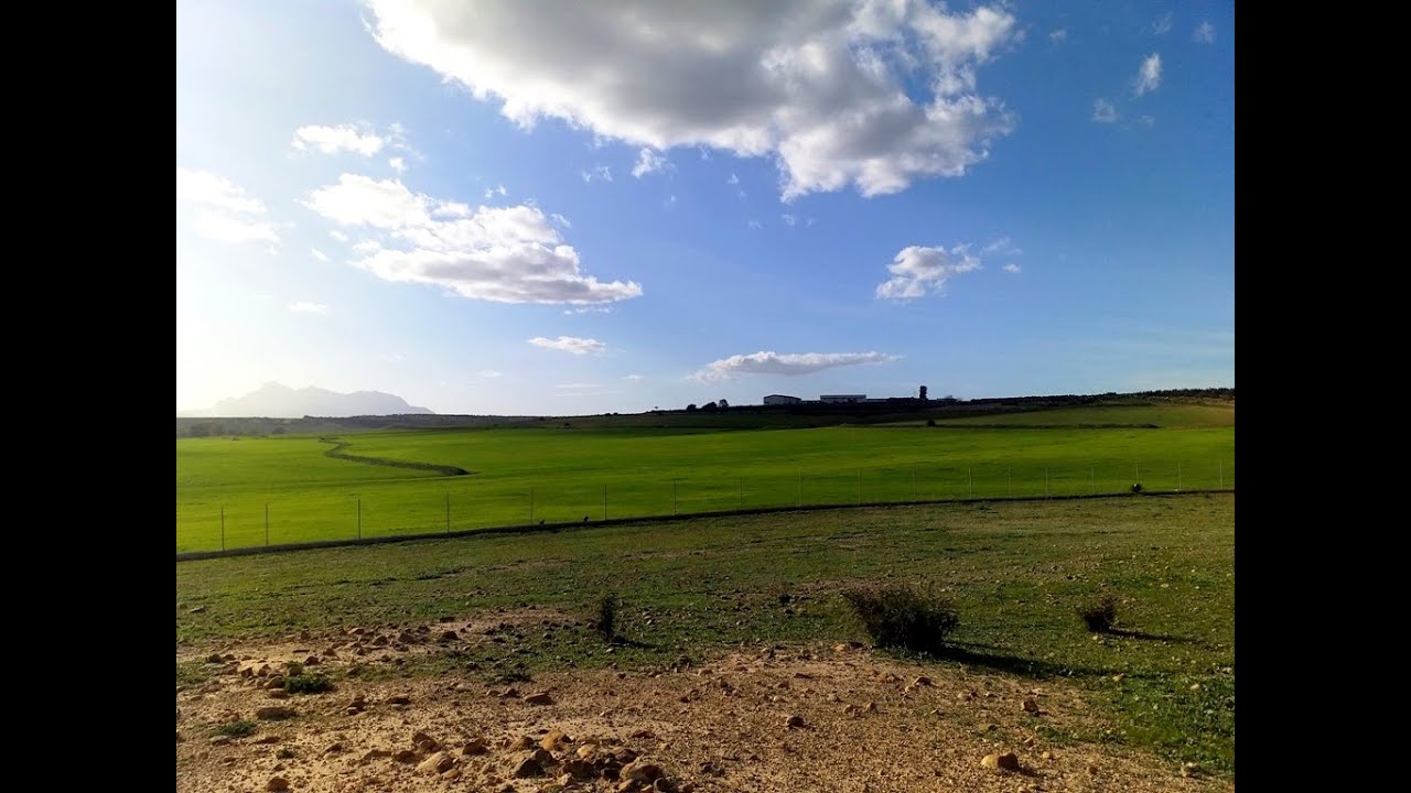 A vendre terrain pour un projet agricole #Hammamet Tunisia - Agence Ghalleb