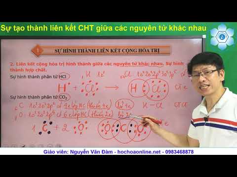 Video: Những nguyên tố nào không liên kết tạo thành phân tử?