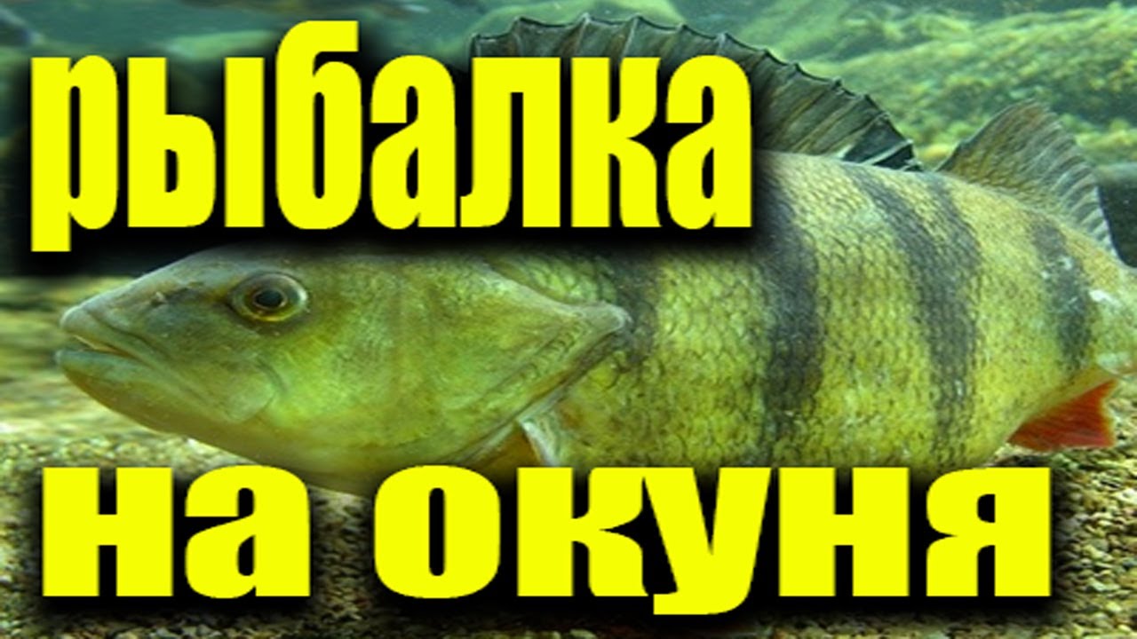 Приора в ставропольском крае