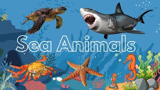 Sea Animals for Kids - Learn Sea Animal Names with Pictures | English Vocabulary | Preschool