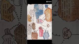 Peta pikiran || mind map bioteknologi pangan || Peta pikiran || mind map bioteknologi pangan ||