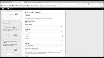 Dynamic Columns - Options