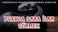 Видео по запросу "yuxuda qara ilan gormek"
