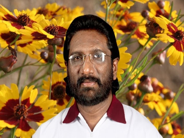 Watch SINAH SWANTHAM - MARKOSE , VILAYIL FAZEELA on YouTube Watch SINAH SWANTHAM - MARKOSE , VILAYIL FAZEELA on YouTube