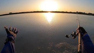 Sight Fishing for Super Picky Redfish on Tampa Bay Flats