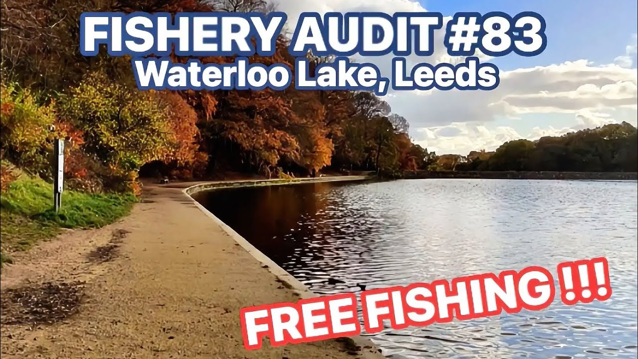 Бесплатная рыбалка на потрясающем озере Ватерлоо, рыболовный аудит № 83. Полный обзор…