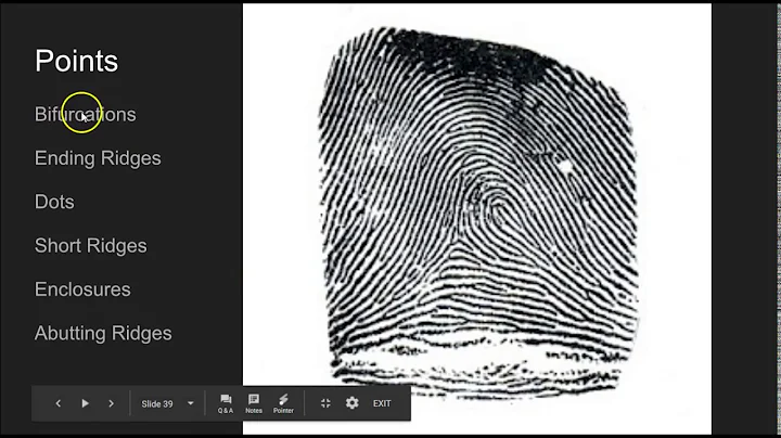 指紋特徵點的四個核心和紋數影片
