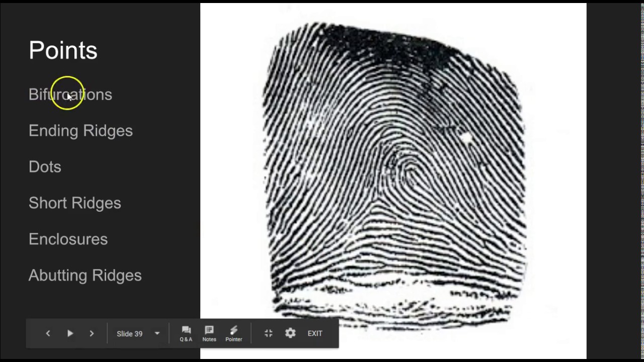 describe-how-to-take-a-ridge-count-from-a-fingerprint