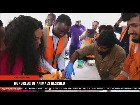 HUNDREDS OF ANIMALS RESCUED