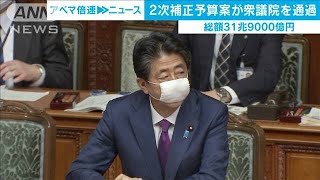 2次補正予算案が衆議院を通過　総額31兆9000億円(20/06/10)