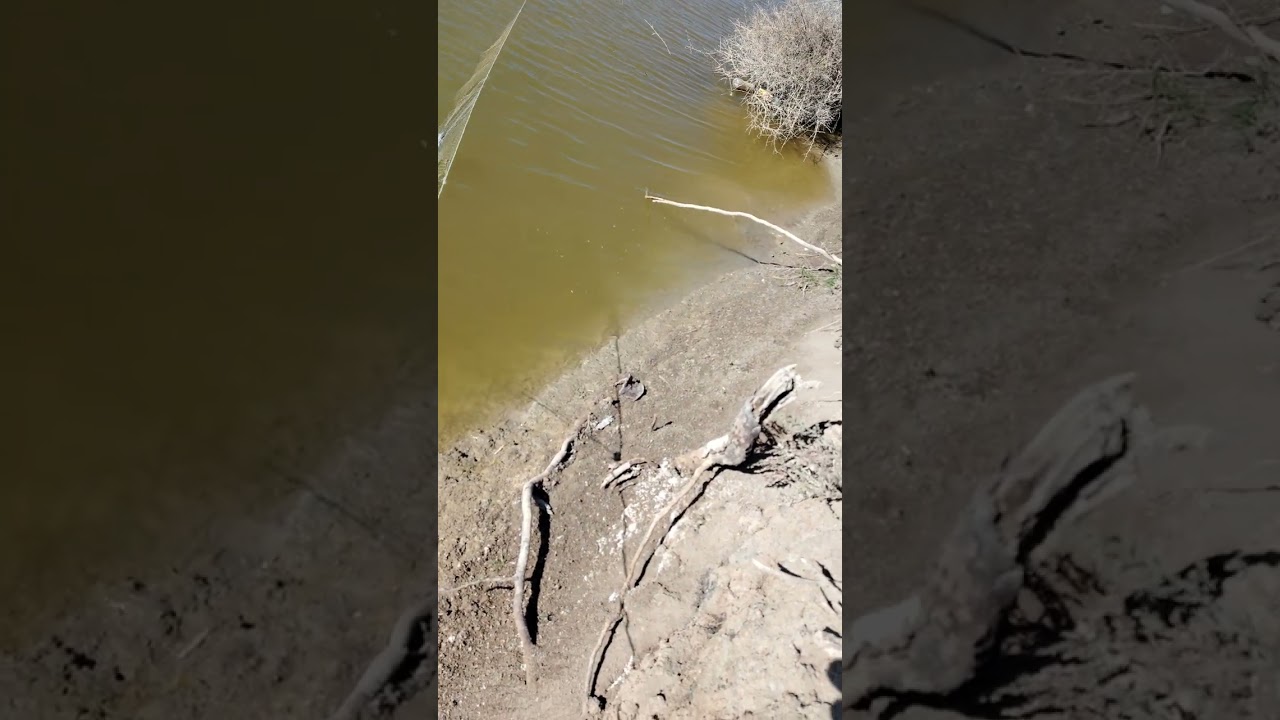 ١٨ شباط، ٢٠٢٦