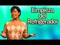 ¿ Como limpiar la nevera o refrigerador ? Tips del Hogar - DIY