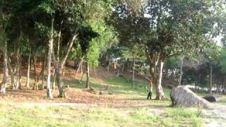 Failed flying fox (scene 2)