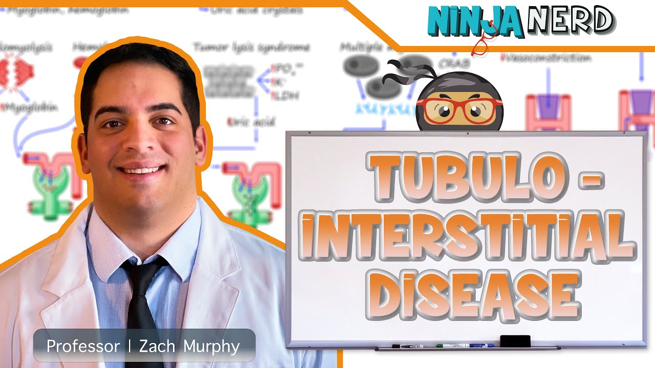 Tubulointerstitial Disease | Clinical Medicine