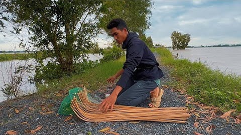 Cắm Câu Vùng Biên Giới Trúng Bầy Cá Lóc Dính Liên Tục Mà Phải Bỏ Về Giữa Đêm