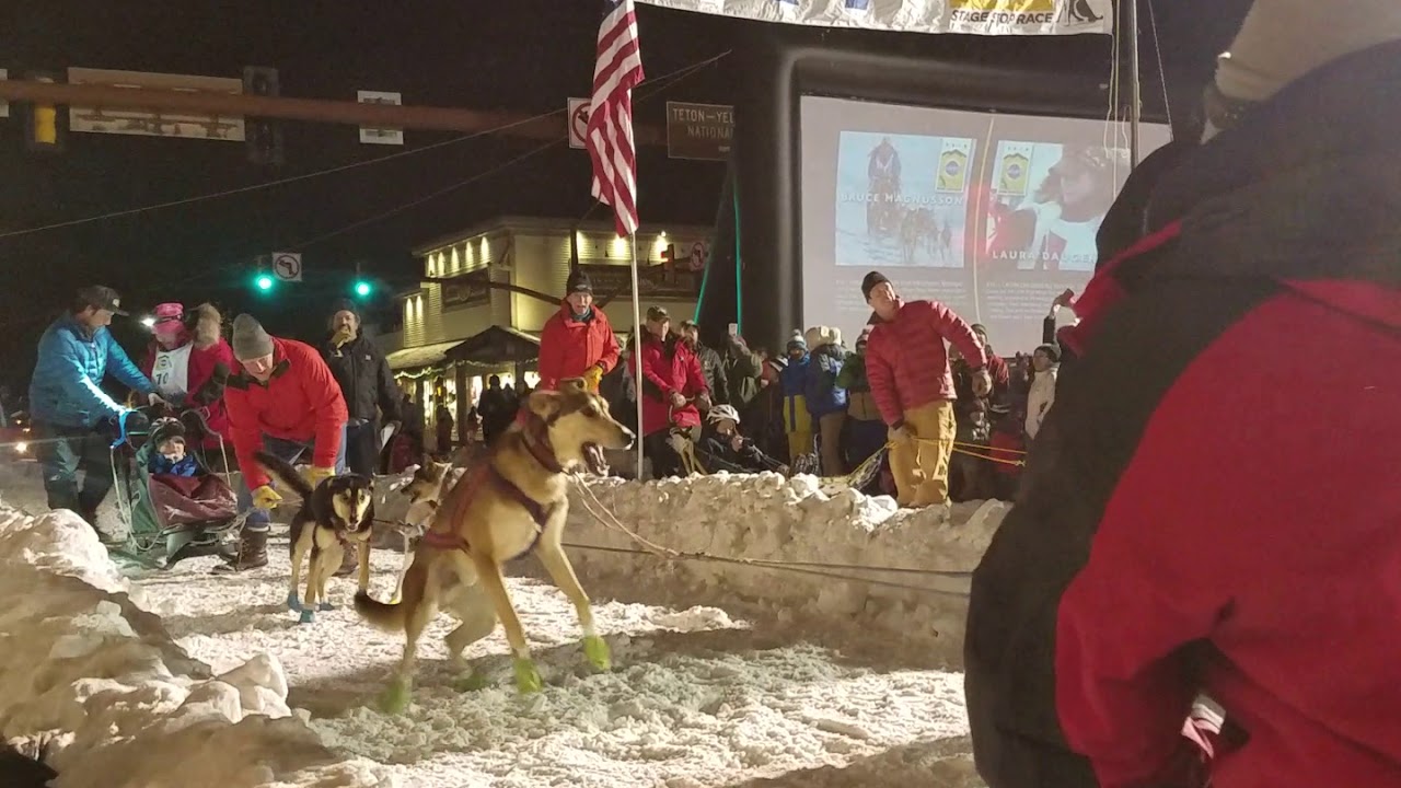 camera iphone 8 plus apk Dog sled race