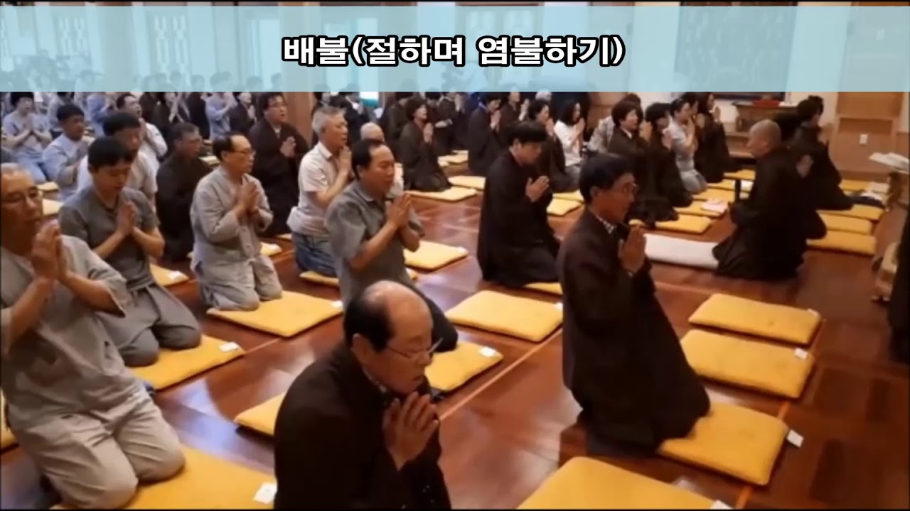 동효 큰스님 집전 나무아미타불 배불, 경행, 좌념염불(고창 선운사)