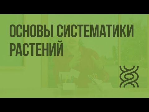 Видео: Что такое определение систематики растений?