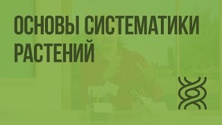 видео Клеточный подход: готовимся к экзаменам