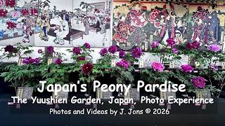 Japan’s Peony Paradise: The Yuushien Garden, Japan, Photo Experience
