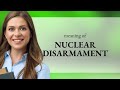 Nuclear Disarmament: Path to Global Peace π