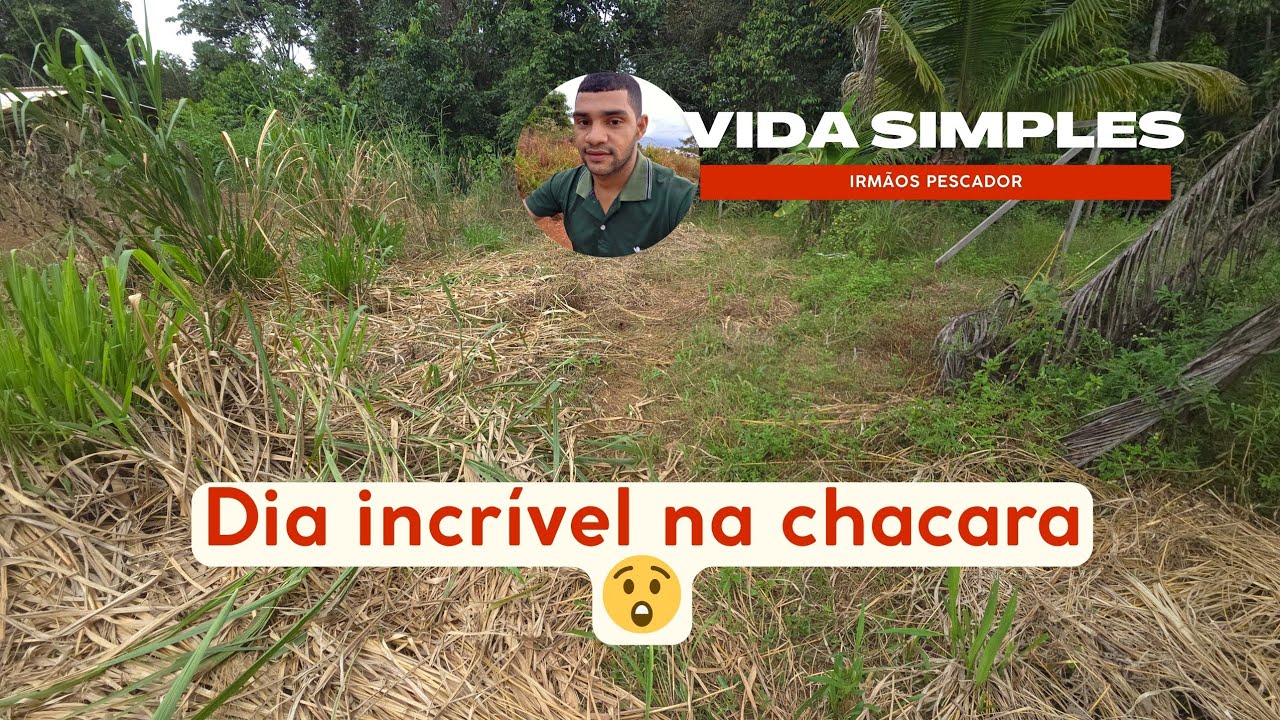 Plantando para o Futuro | Dia de Roça Raiz